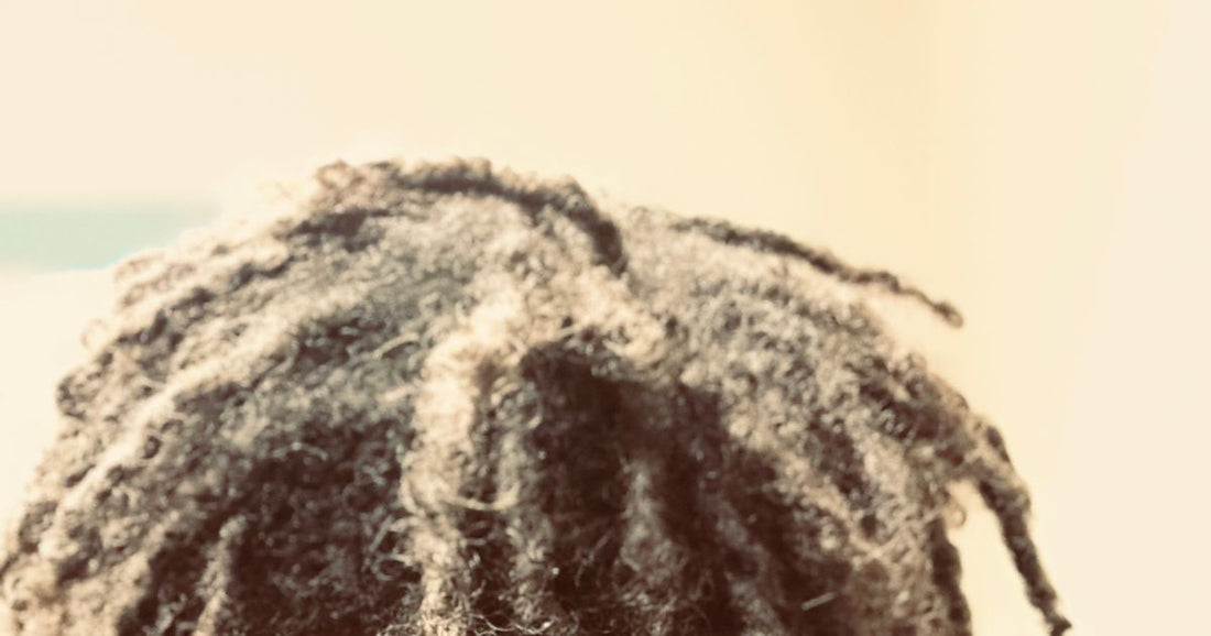 Short locs seen from above, showing the parts and the scalp between them