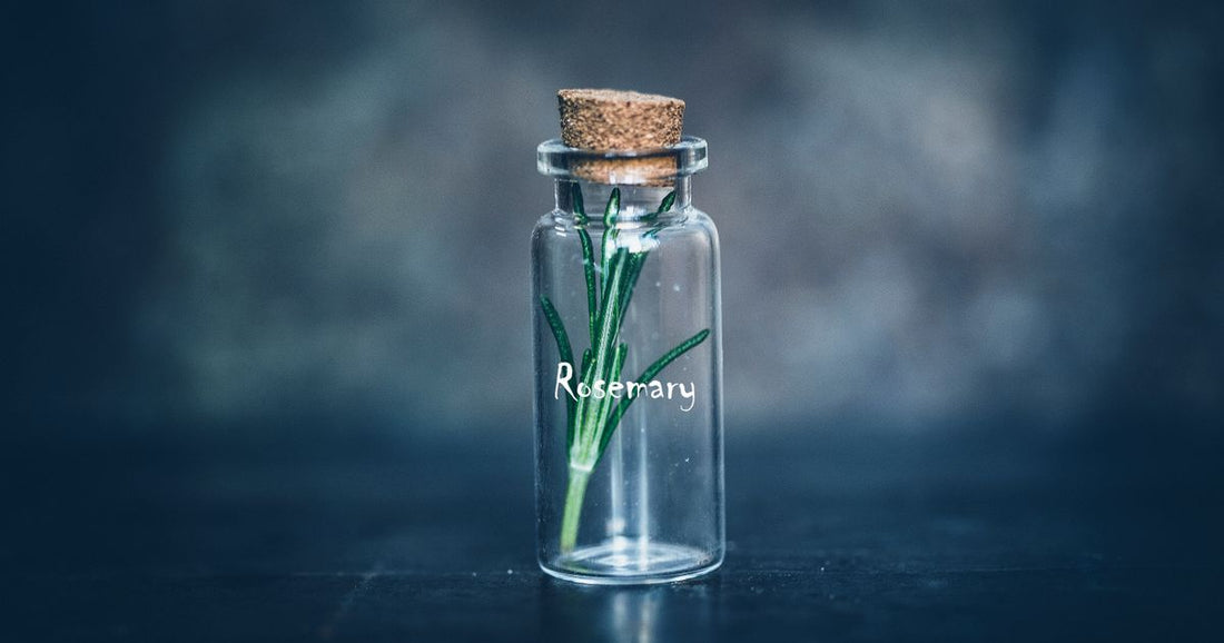A small corked glass bottle labelled Rosemary holding a sprig of the herb