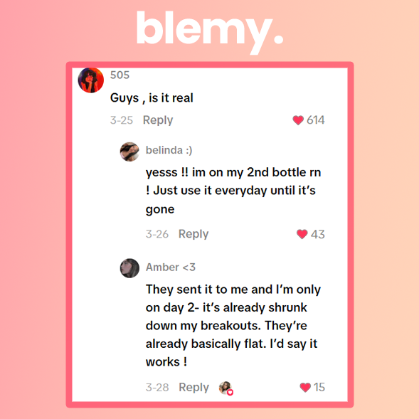 Quitamanchas Blemy